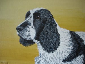 Artist Gary Hammond - Pet Portraits.