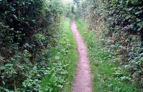 Lyme Regis To Seaton Undercliffs Walk.