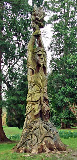 Tree carving in the Botanical Gardens Tree carving in Bath Botanical Gardens