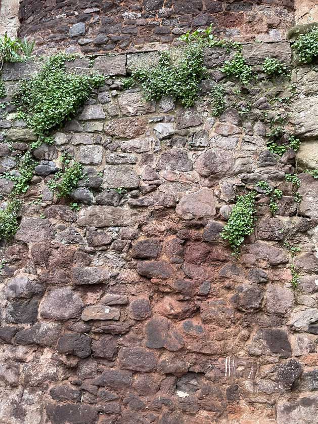 The distinctive walls of the castle.