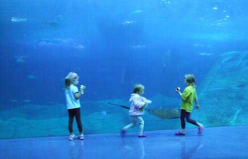 National Marine Aquarium Plymouth.