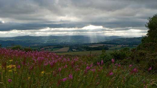 Hilltop Nursery near Ashburton Devon.