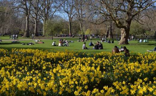 St James Park, London.