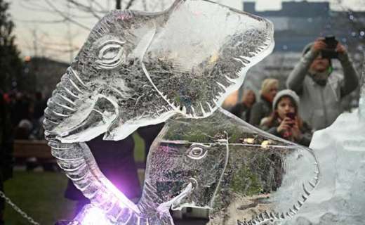 Ice Sculpting Festival.