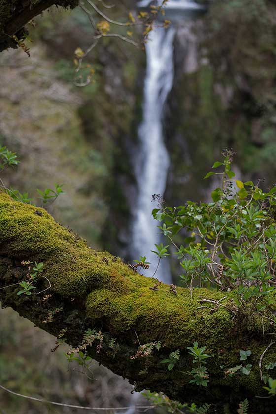 Devil's Bridge Falls, Wales.