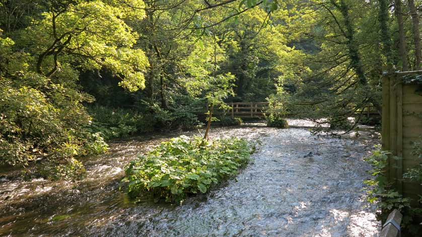 View of the River Wye from the outdoor seating area of the pub.