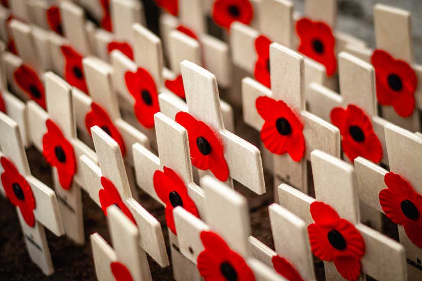 Poppies are a symbol of Remembrance Sunday.