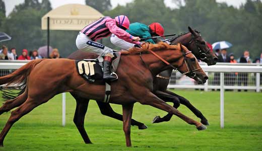Horseracing In Yorkshire.