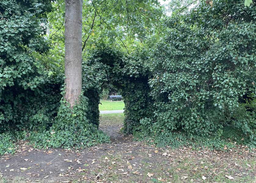 Here a green gate between one room and another.