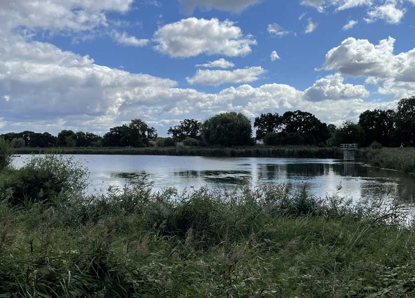 Woodberry Wetlands, north London.