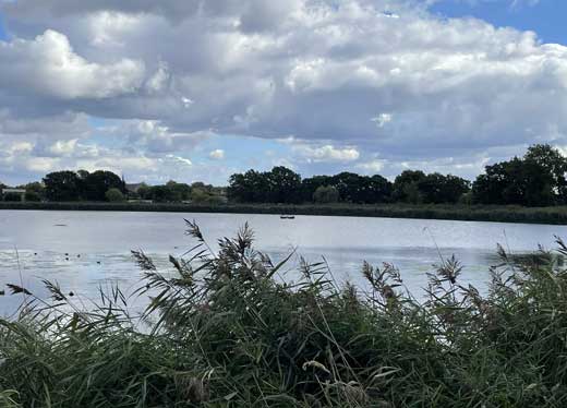 Woodberry Wetlands, Hackney, London.