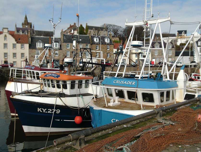 The fishing harbour.